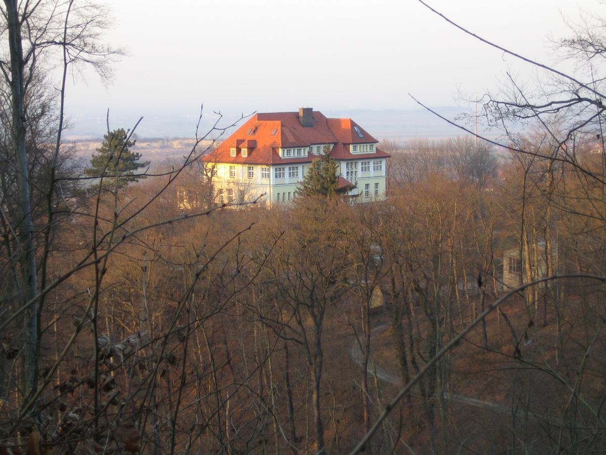 Hotel Stubenberg Gernrode  Zewnętrze zdjęcie