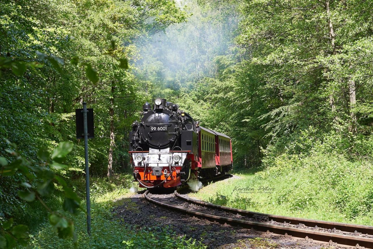 Hotel Stubenberg Gernrode  Zewnętrze zdjęcie
