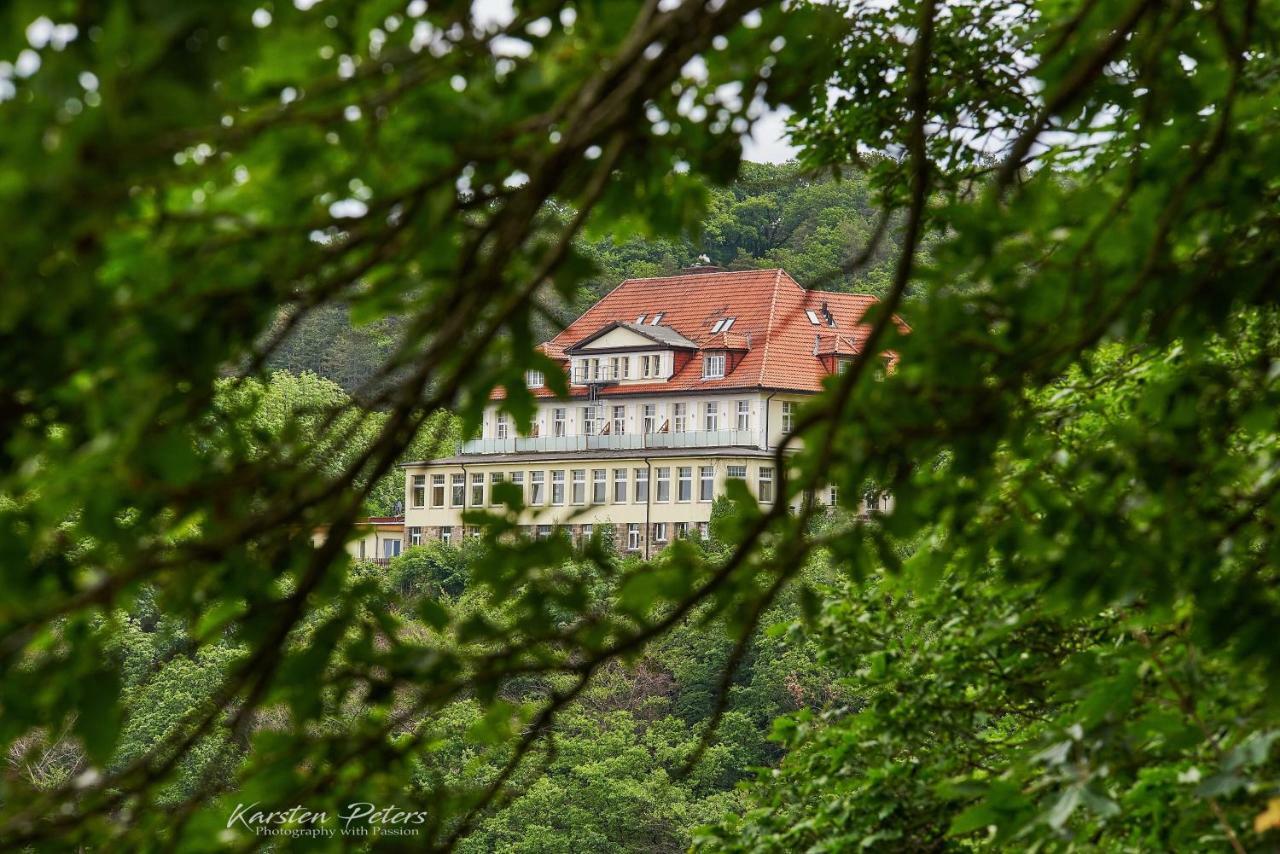 Hotel Stubenberg Gernrode  Zewnętrze zdjęcie